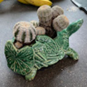 Meet your Posher, Cody